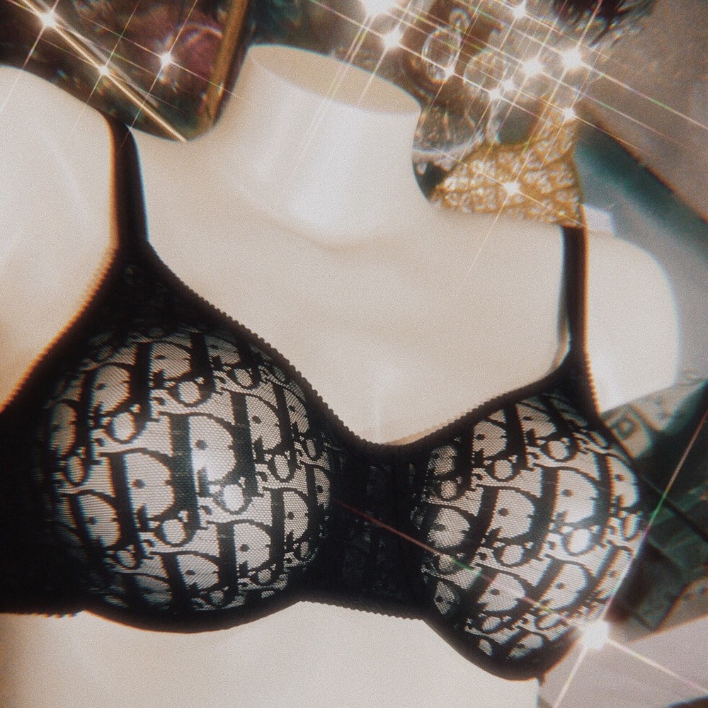 Christian Dior monogram bra / trotter bra NWT